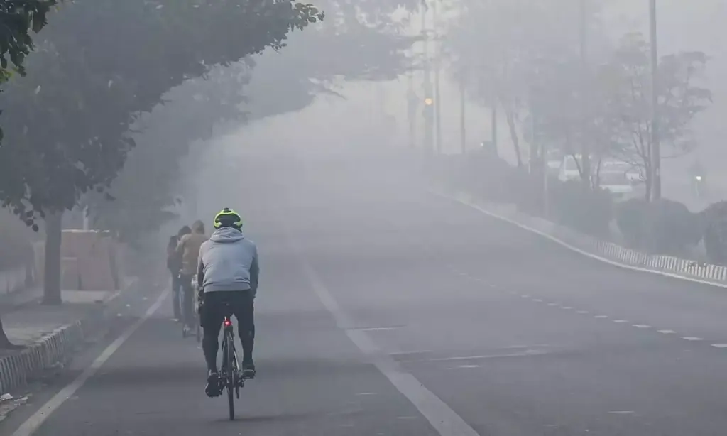 Weather: This year's cold is expected to be more severe: IMD