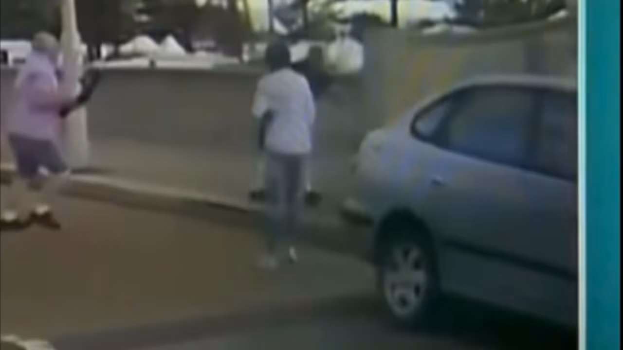 Australia terror plot