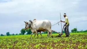 గిరిజన రైతులకు 90శాతం రాయితీతో పరికరాలు