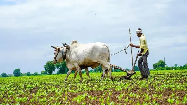 AP: గిరిజన రైతులకు 90శాతం రాయితీతో పరికరాలు