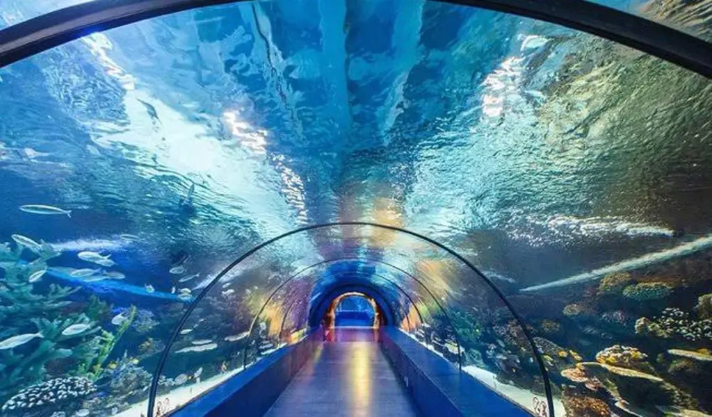 Telugu News: Hyderabad Aquarium: రూ. 300 కోట్లతో భారీ టన్నెల్ అక్వేరియం