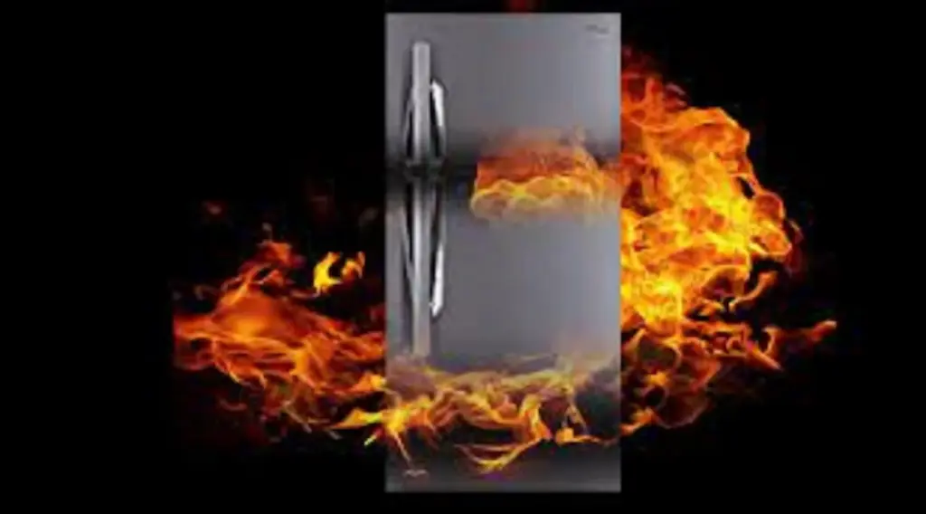 mother and son died in Dharur after a refrigerator exploded