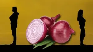 ఉల్లిపాయల చిచ్చు.. 23 ఏళ్ల దాంపత్యం ముగింపు!