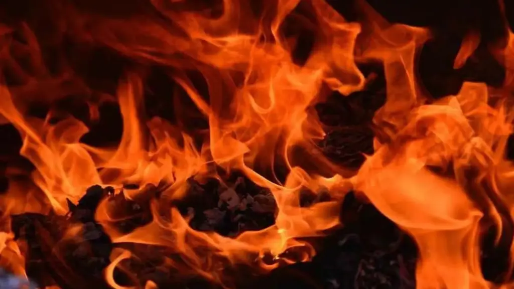 News Telugu: Ameerpet: మైత్రీవనంలోని కోచింగ్ సెంటర్‌లో అగ్నిప్రమాదం