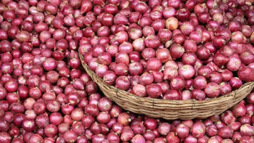 AP: Onion farmers will receive ₹20,000 each