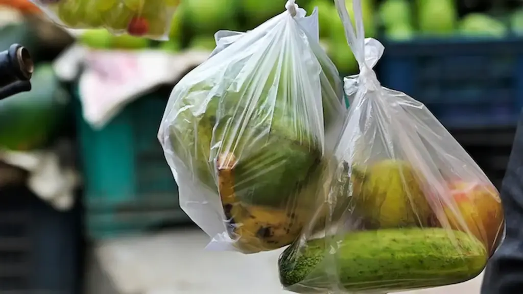 Plastic Ban: హైదరాబాద్‌లో ప్లాస్టిక్‌ బ్యాన్