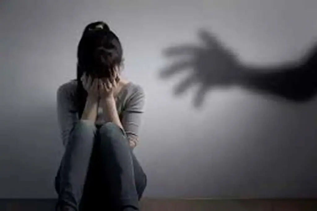 professor sexually assaulted a guest faculty member