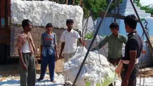 పత్తి రైతులకు శుభవార్త..కొనుగోళ్లకు గ్రీన్ సిగ్నల్