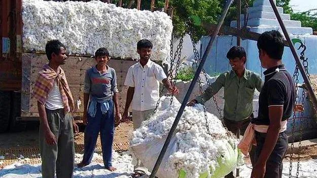 Latest news: Agriculture: పత్తి రైతులకు శుభవార్త..కొనుగోళ్లకు గ్రీన్ సిగ్నల్