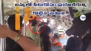 బస్సులో సీటుకోసం ప్రయాణికున్ని కొట్టిన మహిళ