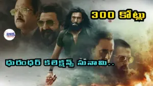 కలెక్షన్ల సునామీ.. వారంలో రూ.300 కోట్లు