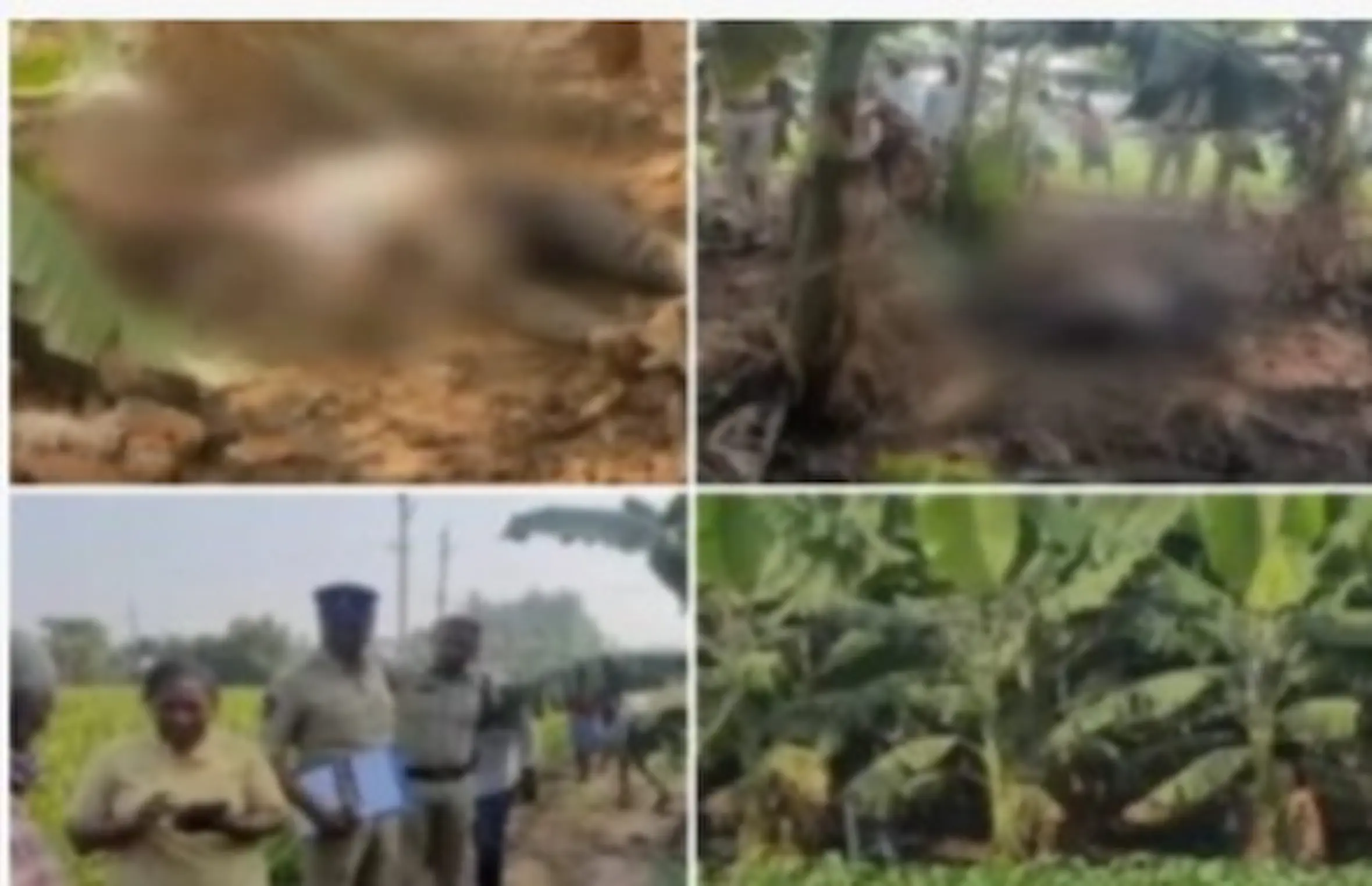 Guntur Crime: యువకుడి అనుమానాస్పద మృతి