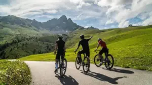 మద్యం తాగి సైకిల్ తొక్కినందుకు వందలాది మంది కార్ డ్రైవింగ్ లైసెన్స్‌ల సస్పెన్షన్