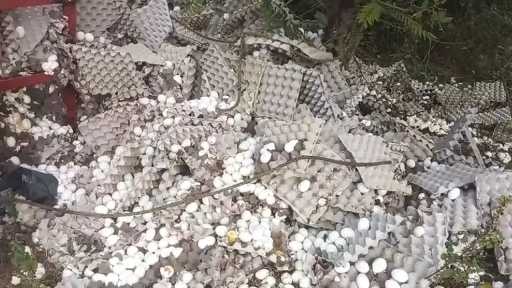 Latest news: Janagama: కోడిగుడ్ల వ్యాన్ బోల్తా..ఎగబడ్డ జనం