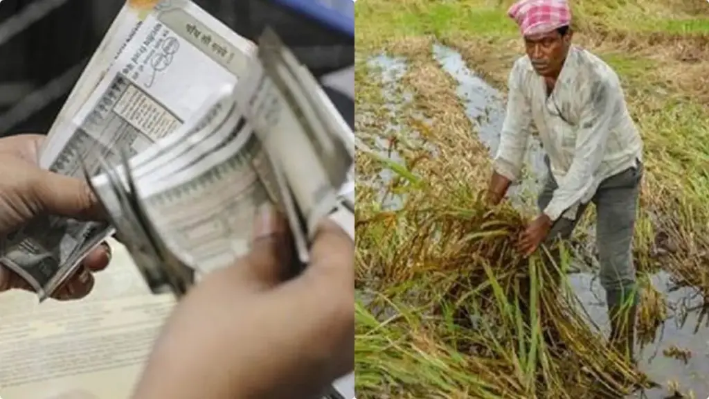 AP: కల్తీ విత్తనాలతో నష్టపోయిన రైతులకు పరిహారం చెల్లించాలి