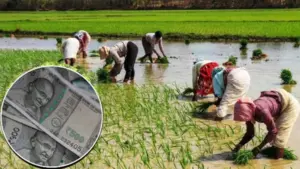 సన్నాలకు బోనస్ డబ్బులు అందలేదా ?..అయితే ఇలా చేయండి..