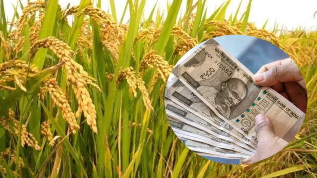 Telugu News: HYD: రైతుల ఖాతాల్లో ధాన్యం విక్రయాల డబ్బు జమకు ఆలస్యం