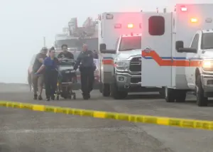 కూలిన మెక్సికో నేవీ విమానం.. ఐదుగురు దుర్మరణం