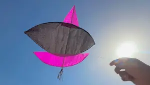 పతంగి కొనివ్వలేదనీ ఉరి వేసుకుని ఆత్మహత్య..