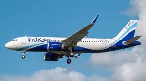 Indigo Flight Delay