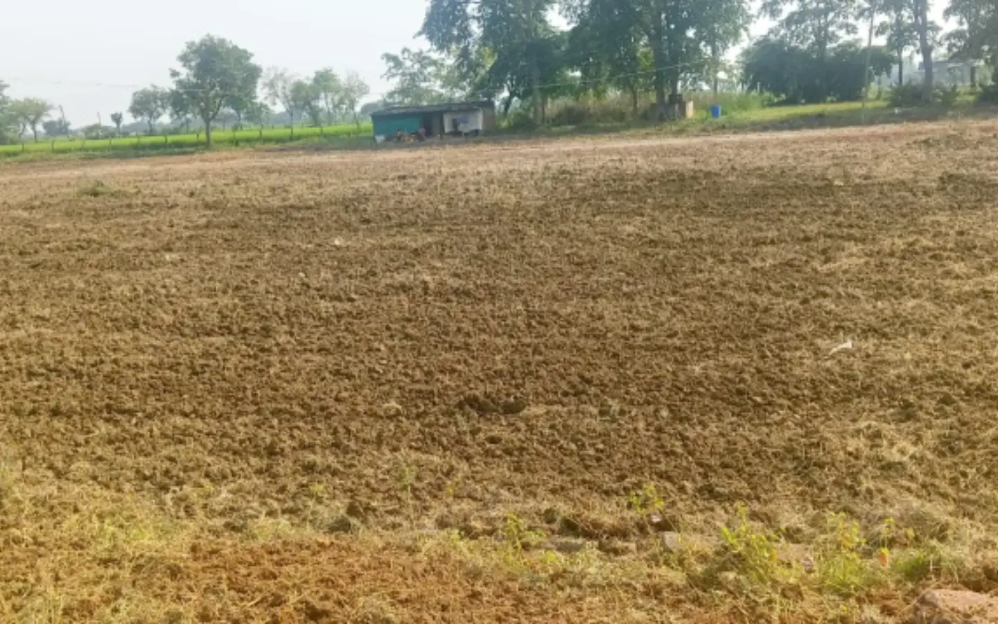 AP: భూ సమస్యల పరిష్కారం కోసం రెవెన్యూ క్లినిక్‌లు