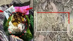 ఓట్ల కోసం క్షుద్రపూజలు.. పంచాయతీ ఎన్నికల్లో కలకలం