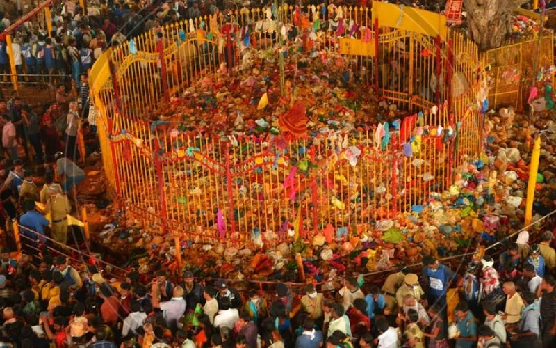 Telugu News: CM: మేడారం పనుల్లో నాణ్య‌తా ప్ర‌మాణాలు పాటించండి