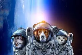 Space Animals