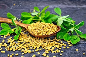 Fenugreek Risks