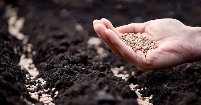 Latest Telugu News : Seed bill : విత్తన బిల్లు ఎవరి కోసం?