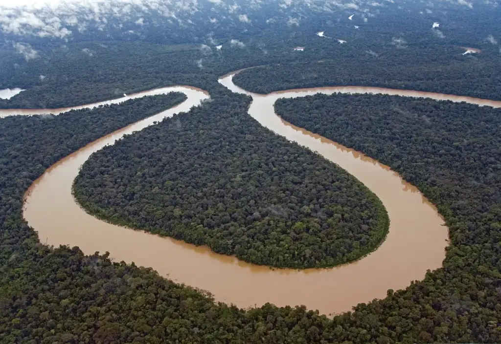 Amazon River