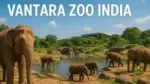 Vanatara Zoo