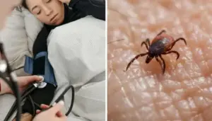 పిహెచ్ సి స్థాయిలోనే స్క్రబ్ టైఫస్ నిర్ధారణ పరీక్షలు