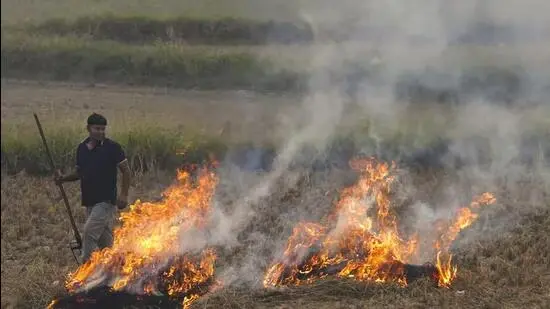 Telugu news: Dr. Manazir: పంట దుబ్బులు కాల్చవద్దని రైతులకు సూచనలు