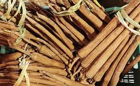 శీతాకాలంలో తాటి తేగల ఆరోగ్య ప్రయోజనాలు