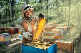 Beekeeping