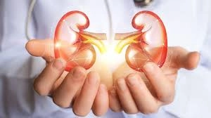 Kidney health