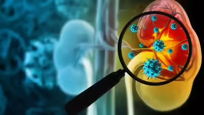 Kidney health:కిడ్నీ సమస్యలను ముందుగానే గుర్తించండి –నిర్లక్ష్యం ప్రమాదం!