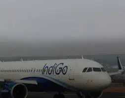 Indigo Crisis