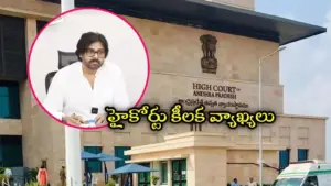 ప‌వన్ కళ్యాణ్ పిటిషన్‌పై హైకోర్టు కీల‌క ఆదేశాలు