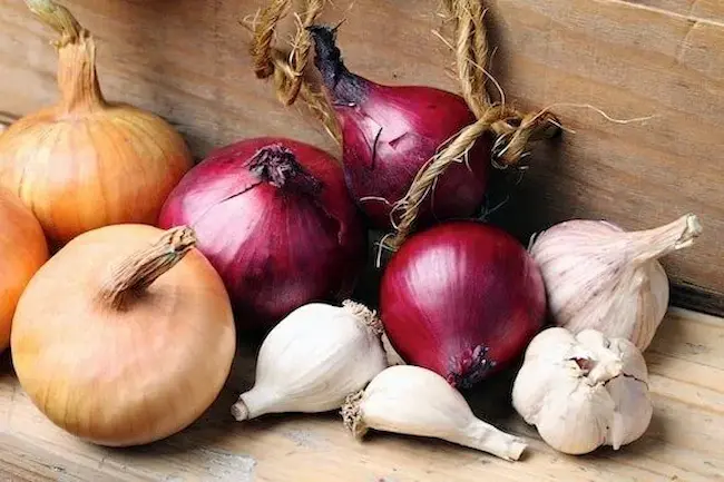 Onion and garlic