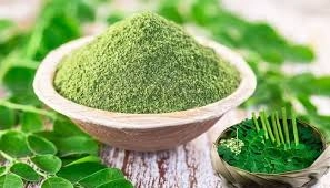 Moringa Benefits