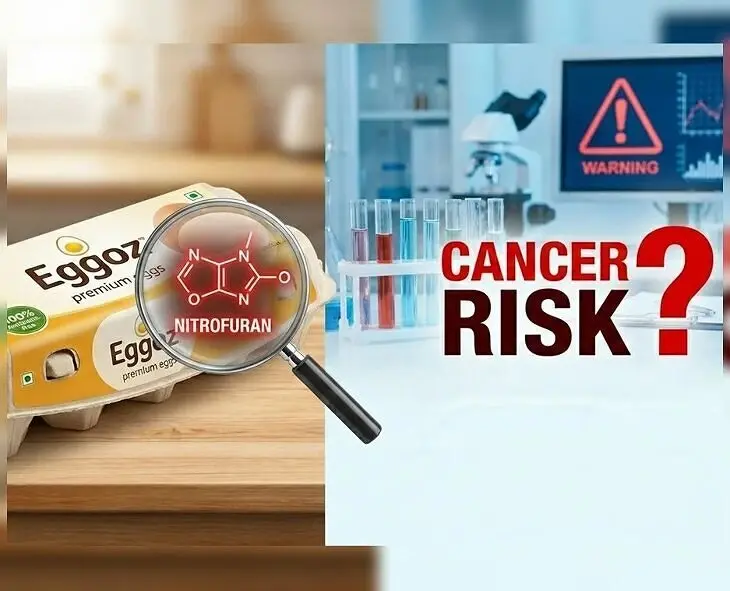 ఎగ్గోజ్ గుడ్లపై FSSAI చర్యలు