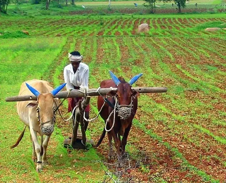 Latest News: AP: కౌలు రైతులకు పంట రుణాలు మంజూరు- DCCBలకు ప్రభుత్వ ఆదేశాలు