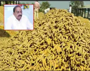 ప్రపంచ మార్కెట్ లక్ష్యంగా తెలంగాణ పసుపు: తుమ్మల