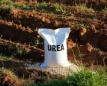 Urea