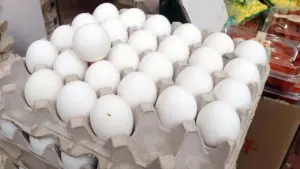 దేశంలో విక్రయించే కోడిగుడ్లు పూర్తిగా సురక్షితం