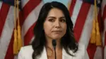 Tulsi Gabbard