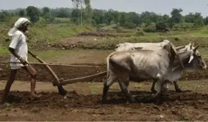 రైతు బతుకులు బాగు పడేదెప్పుడు?