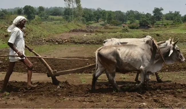 రైతు బతుకులు బాగు పడేదెప్పుడు?